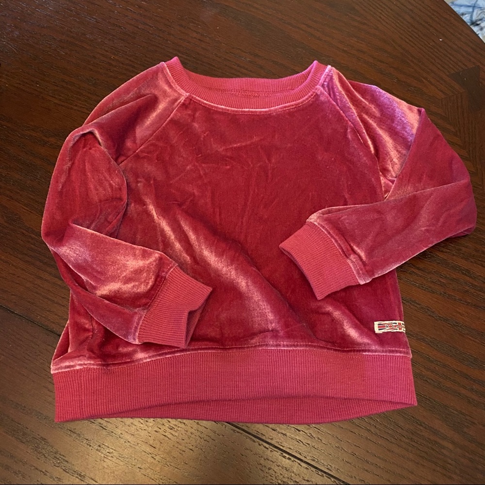 Hudson 18 month Pink Velour Sweater